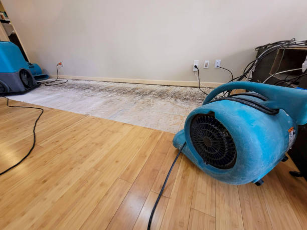 Reliable Basement Flood Cleanup contractor in Rancho Santa Fe, CA by Hirex Water Damage