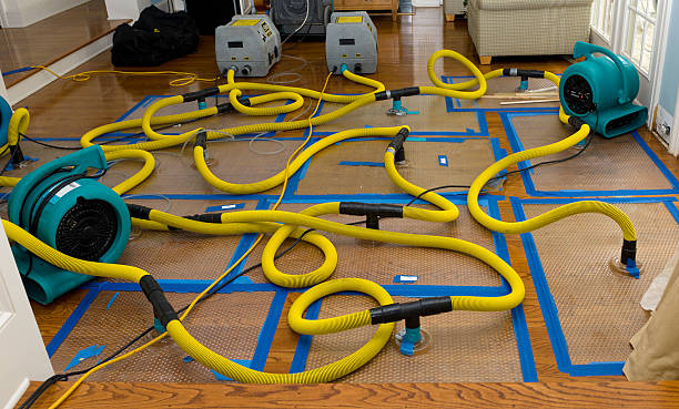 Professional Basement Flood Cleanup technician working in Rancho Santa Fe, CA